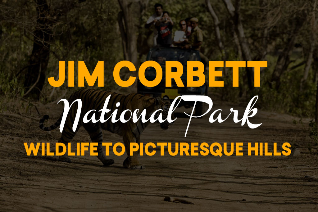 Jim Corbett National Park- Wildlife to Picturesque Hills