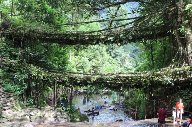 Root Bridge