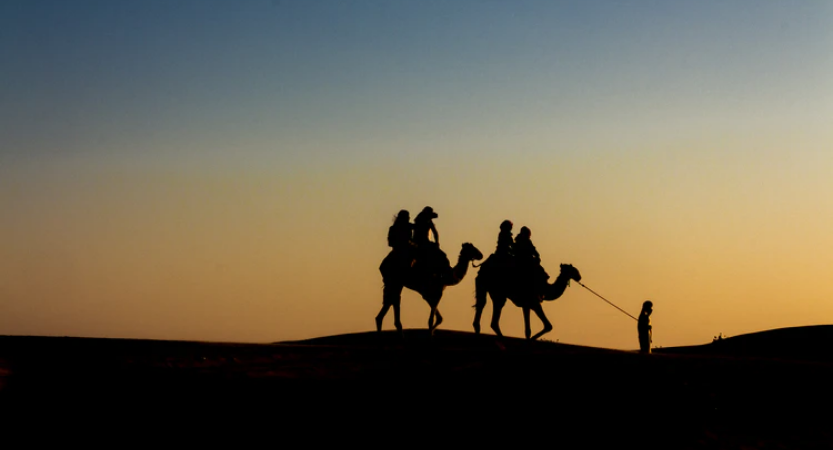 Camel Safari in Jodhpur