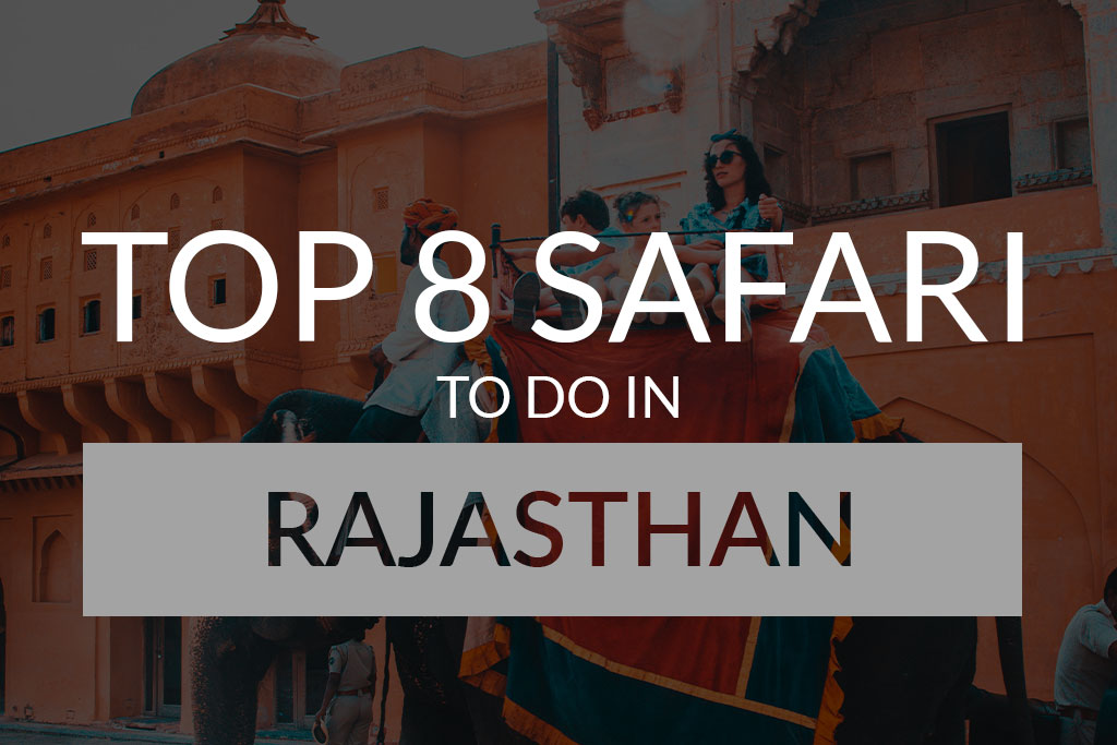 Top 8 Safari in Rajasthan