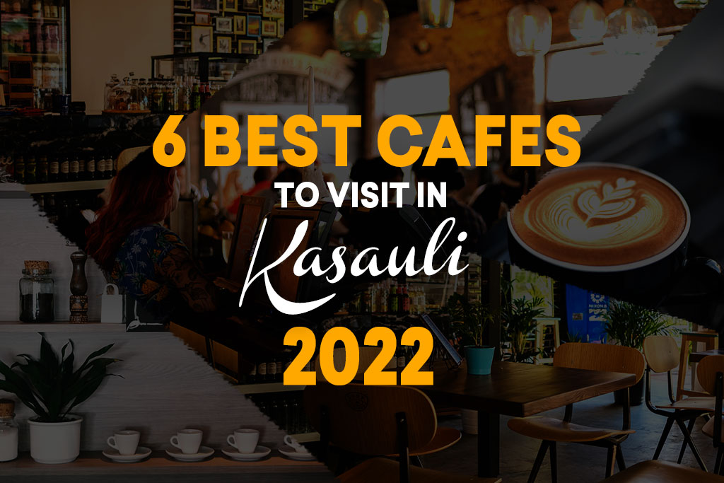 6 Best Cafes to Visit in Kasauli in 2022 - Must Visit Travel Places India